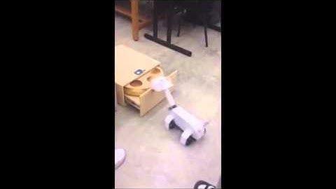 The TwitterDog System Using Linear Actuators Part I