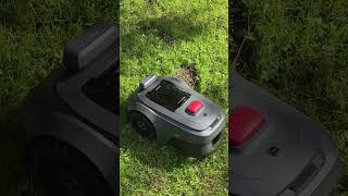Alpengarten vs. MOVA ViAX 500 Mähroboter: Der härteste Test #mova #gartenmaschine