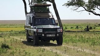 A Day on Safari in the Masai Mara