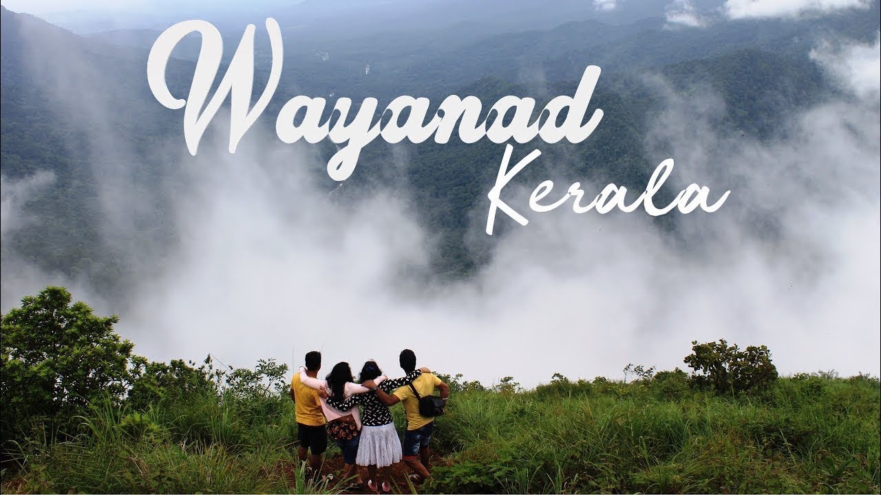 Wayanad tourist places Top 16 #Wayanad #edakkal caves #kuruva island #