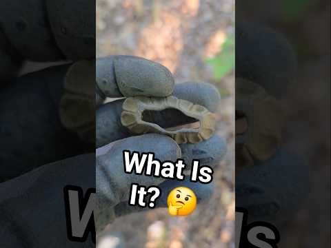 🤔 💭 What Is It? Found Metal Detecting Site #mystery #whatisit #metaldetectingfinds #minelabmanticore