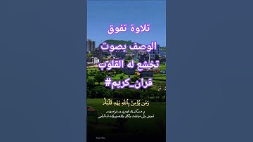 قرأن كريم راحة نفسية تلاوة خاشعة بصوت جميل ومؤثر #قران_كريم #elmulquranعلم #قرآن #المصحف #اكسبلور