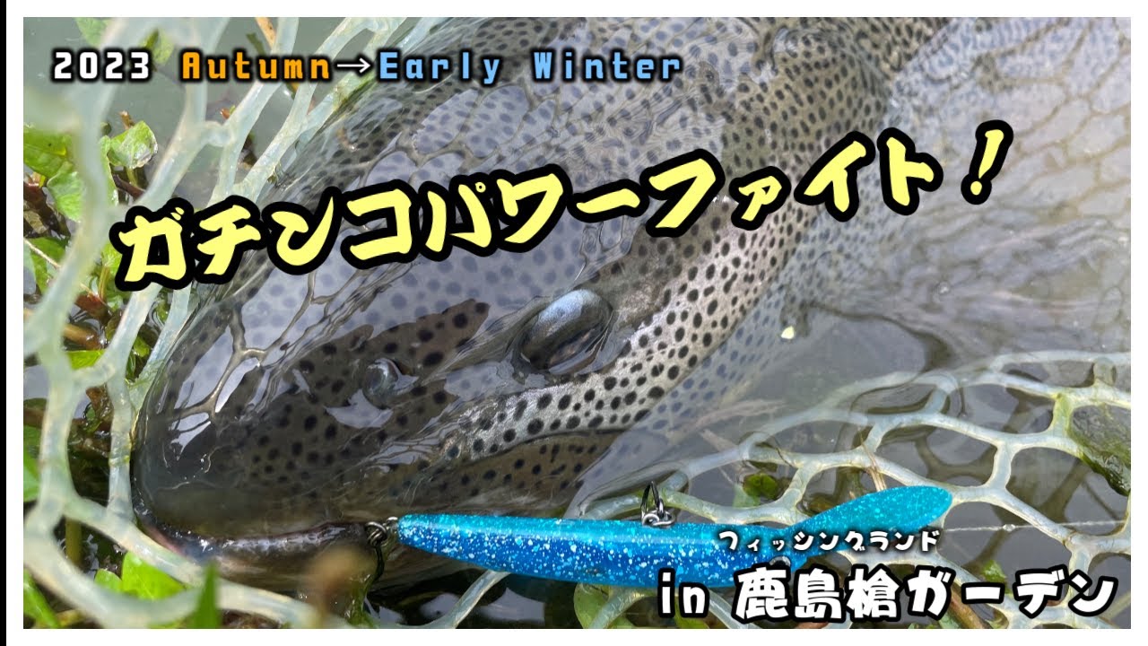【エリアミノーイング】ガチンコファイト！！ in 鹿島槍ガーデン【エリアトラウト】