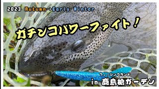 エリアミノーイング】ガチンコファイト！！ in 鹿島槍ガーデン【エリア