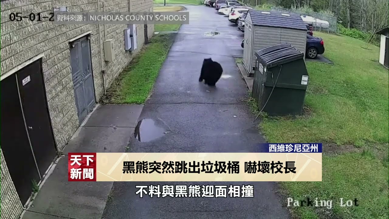 【天下新聞】西維珍尼亞州: 黑熊突然跳出垃圾桶 嚇壞校長 