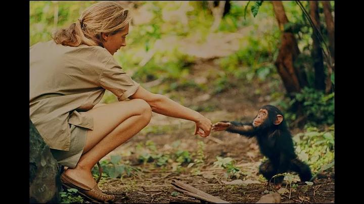 Documentary gives new glimpse at Jane Goodalls ear...