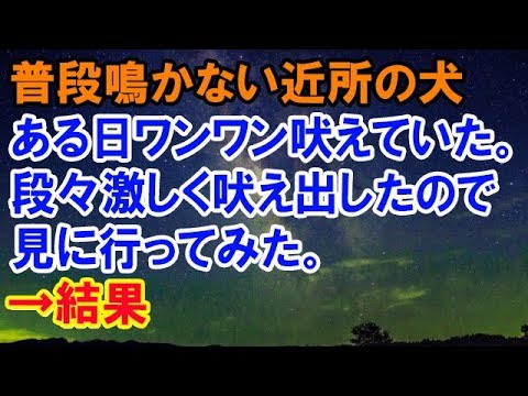 【スカッとする話】普段鳴かない近所の犬が、ある日ワンワン吠えていた。段々激しく吠え出したので見に行ってみた。→結果【スカッと侍】