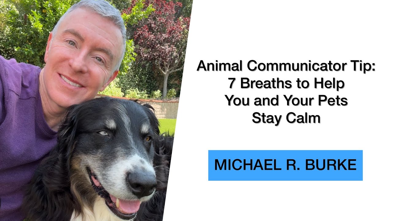 Animal Communication Tip: Seven Deep Breaths to Help You & Your Pets Stay Calm