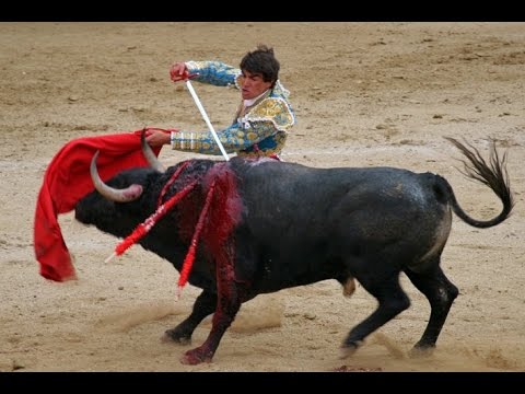 Wideo: Jak Oglądać Walkę Byków - Matador Network
