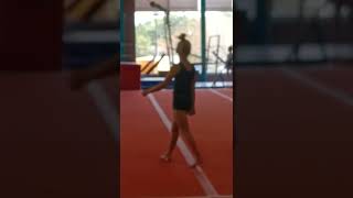 Mila-level 4 bar 1st attempt