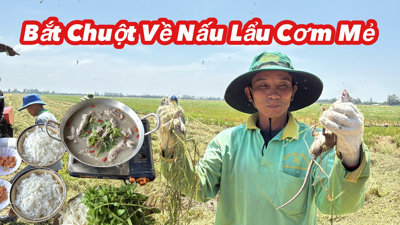 Bắt Chuột 2 Tay Về Nấu Lẩu Cơm Mẻ • Món Ăn Đặc Sản Nhưng Nhiều Người Chưa Dám Ăn | BLĐT
