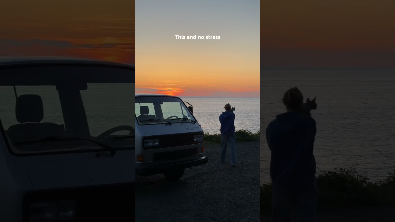 Van, Cat and a Sunset🧡 