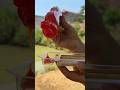 Smart Girl Eats Candy with Chili Sauce 🌶️ Unexpected Ending!#funny #viralvideo