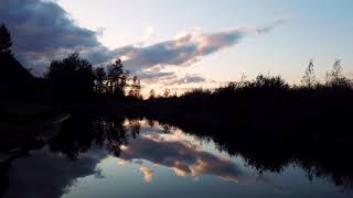 River Between Trees | Slow Motion screenshot 4