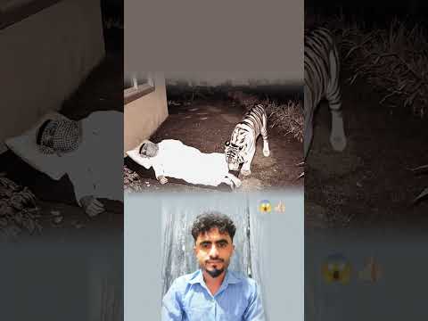 الرحمة الإلهية تحيط بنا حتى ونحن نيام اكسبلور لايك Shorts Allah Viral Youtubeshorts