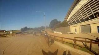 Horse Track Riding At Siec