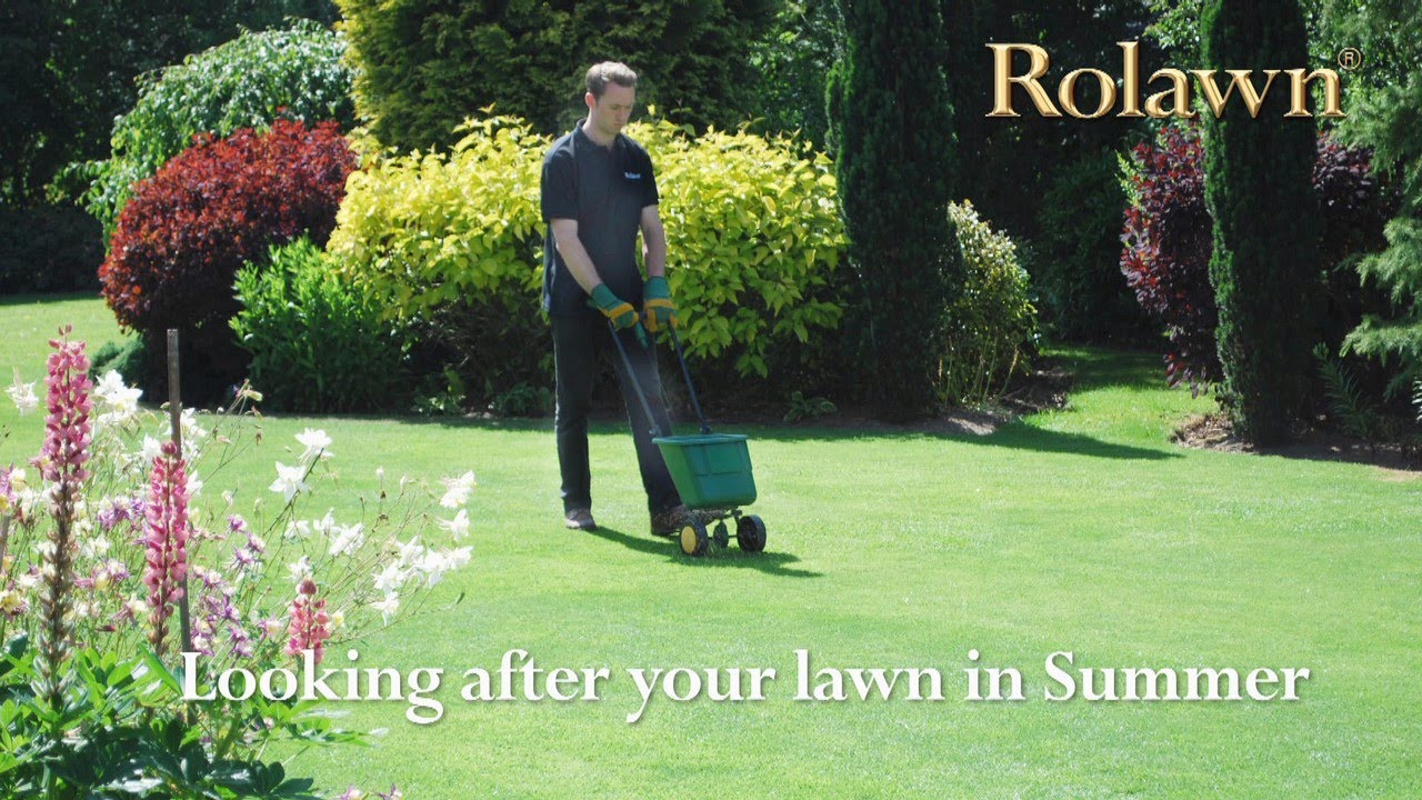 Rolawn TV Rolawn