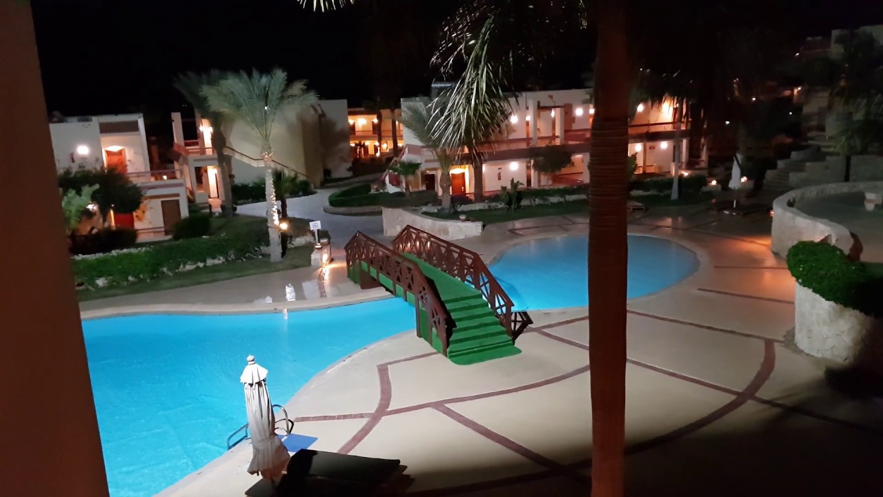 Обзор номера стандарт в Hilton Sharks Bay YouTube