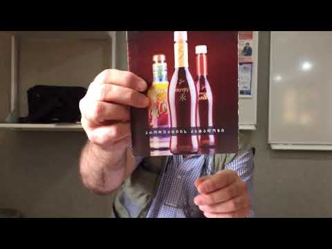 ნანუკა ჟორჟოლიანის თაღლითობა გამოაშკარავდა