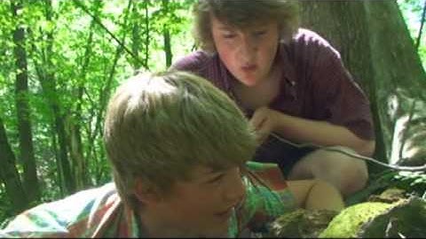 The Scarlet Ibis - Part I