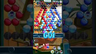 297 bubble mania