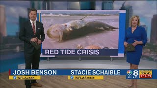 Desantis on red tide