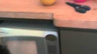 Marshmallow Delight Tutorial