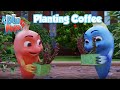 Bilu Mela - Planting Coffee