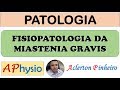 Fisiopatologia da Miastenia Gravis