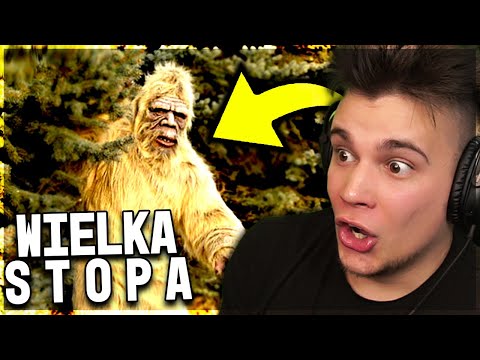 Wideo: Polowanie Na „Bigfoot” Jest Otwarte - Alternatywny Widok