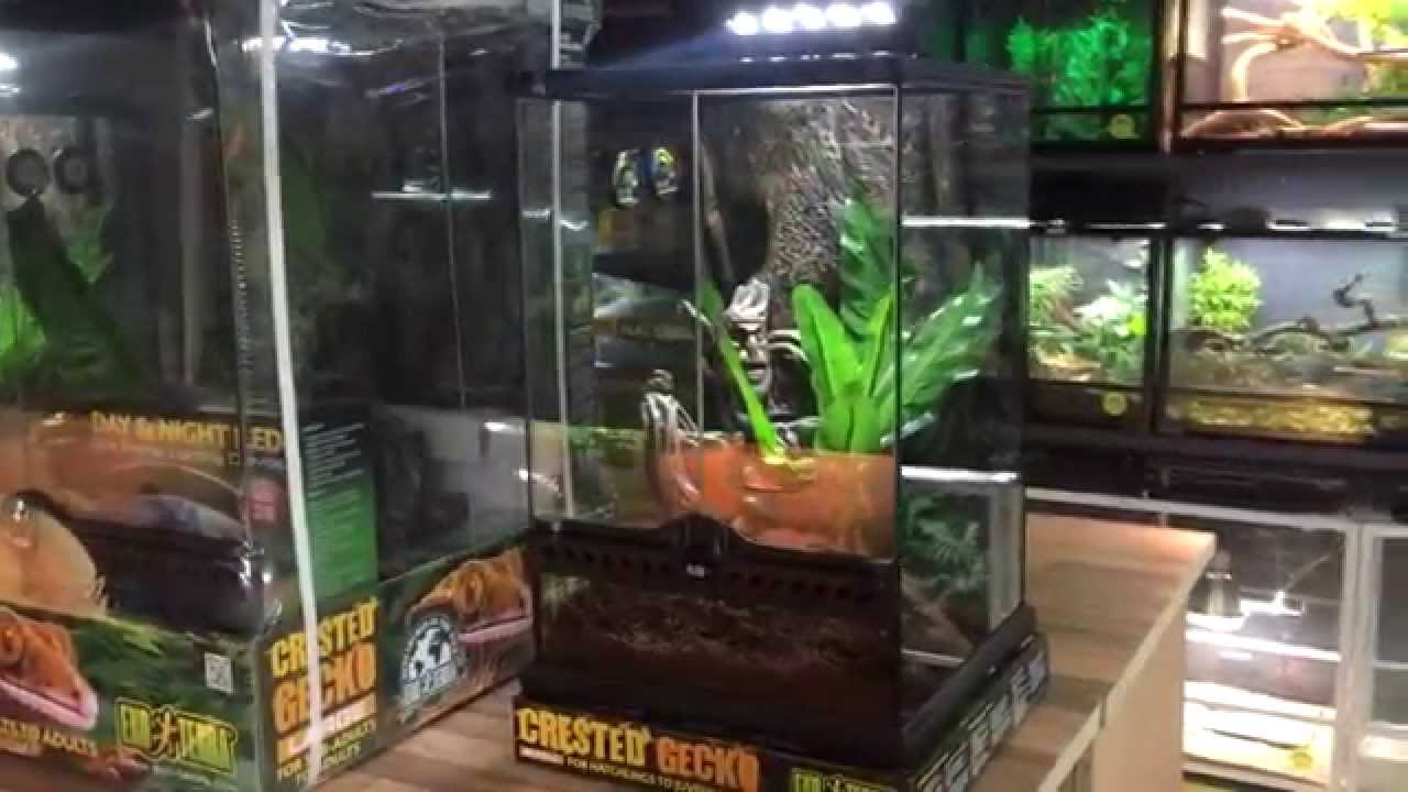 crested gecko tank kit