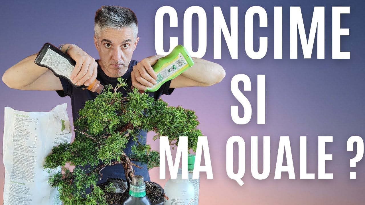 COME CONCIMARE un BONSAI, REGOLE GENERALI e TEMPISTICHE