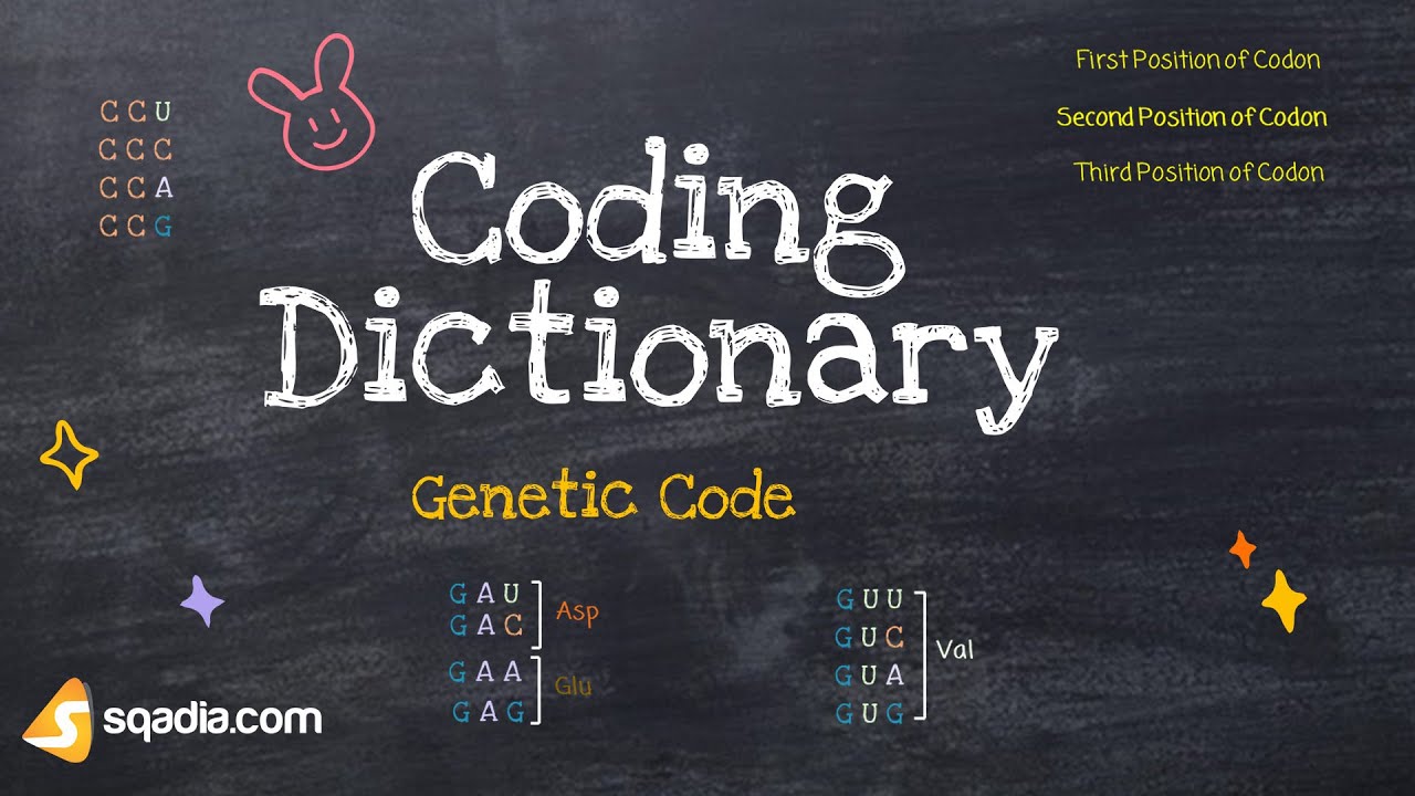Genetic Code | Coding Dictionary | Triplet Code | Adenine, Guanine, Cytosine, Thymine
