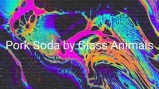 Pork soda - Glass Animals (1 hour)