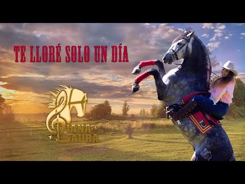 Diana Laura - Te Lloré Sólo Un Día (Lyric Video Oficial)