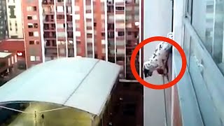 窓の外を見て男性の心臓が止まりそうになった。数秒後、彼はヒーローになる。