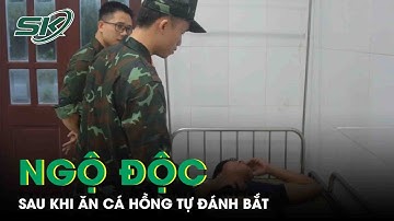 6 ngư dân bị ngộ độc sau khi ăn cá hồng | SKĐS
