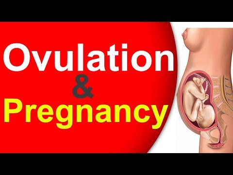 கருமுட்டையின்-உருவாக்கம்-&-கருத்தரித்தலும்-|-infertility-ivf-iui-icsi-testtube-baby