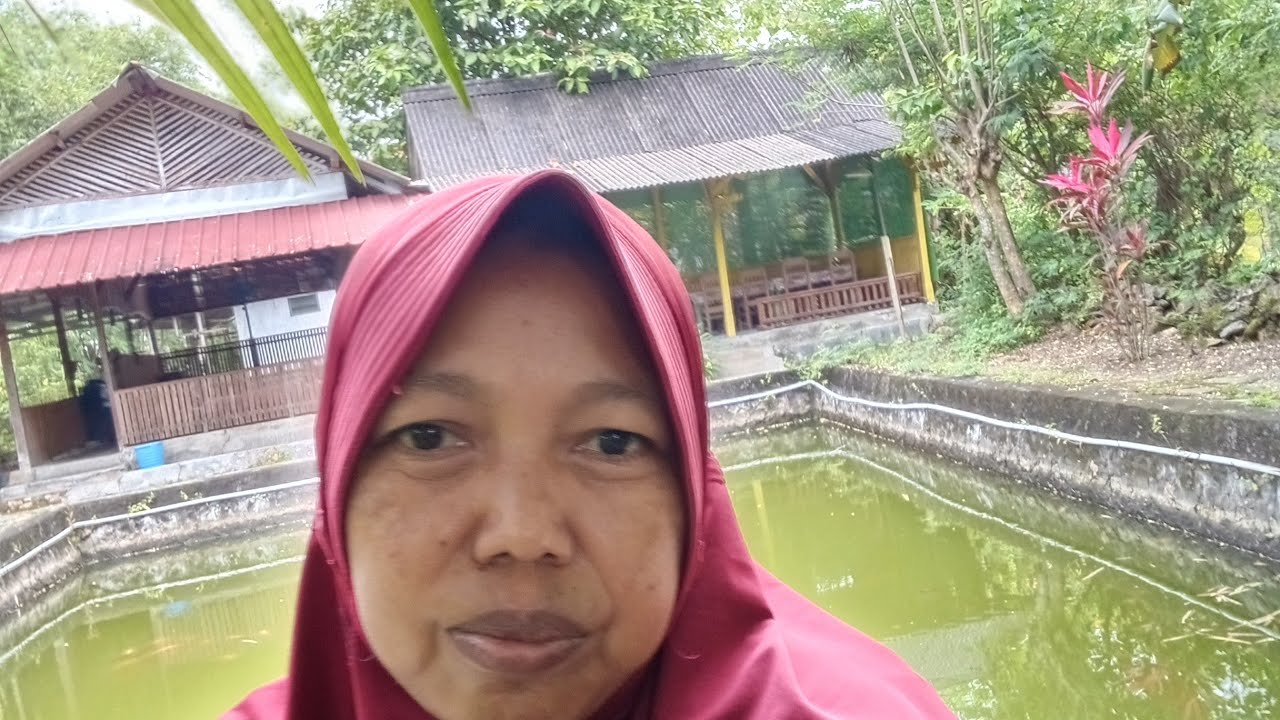 Pepes pindang dn sayur bayam‼️