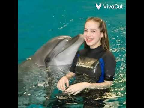 صور لانا مع الدلفين على أغنية روعة تصميمي لايك اشتراك