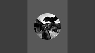Falcon_Sunkar в прямом эфире!
