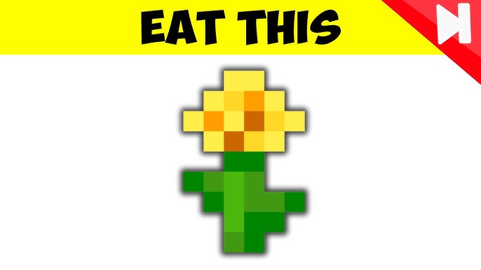 Minecraft All Easter Egg Languages Youtube