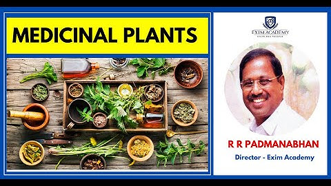 Exports of Medicinal Plants - R R Padmanabhan, Director - Exim Academy | Exports | Imports