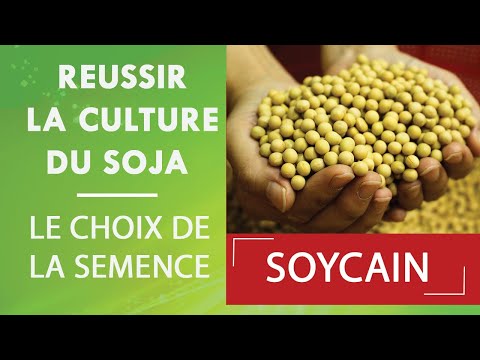 Vidéo: Combien y a-t-il de graines de soja dans un boisseau?