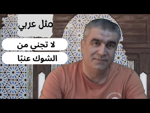 أمثال عربية مثل مشروح في كتابي تعلم العربية من الأمثال