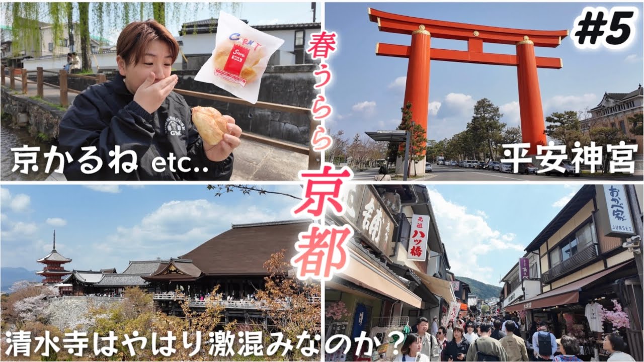 【#5 京都day2】京かるね｜平安神宮｜Aqua Timez古川町商店街リベンジ｜清水寺は激混み？春うららな青春18きっぷ旅