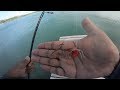 Ep7shore castingrock fishing in mauritius at grand gaube