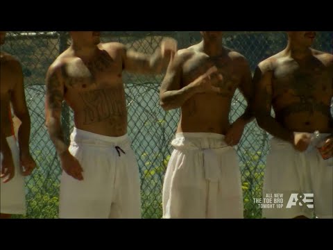 Young T \u0026 Bugsey ft. Belly Squad - Gangland [Music Video] | GRM Daily