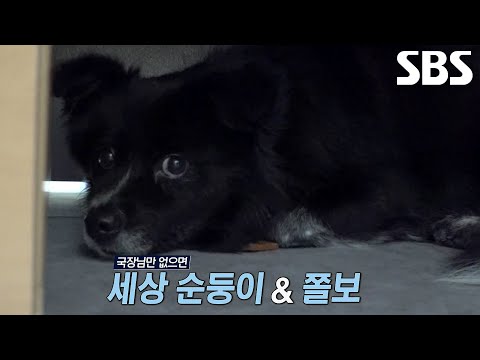 ‘경계견’ 까망이, 국장님 없는 공간에 혼자서 전전긍긍↘