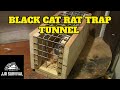 Black Cat Rat Trap Tunnel